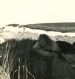 Kirkwall Guide camp in Holm