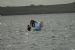 Swimming at Holm Regatta