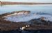 Frozen sea and duck