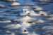 Frozen shore at Firth