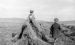 In the stooks