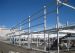 New Tesco store framework going up