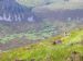 Berriedale Woods from above