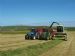 Silaging in Marwick