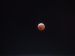 Bonny moon