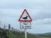 Ducks!