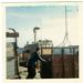 Eric Heddle loading animals aboard the Hoy Head