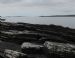 Wyre shoreline