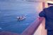 Wedding guests heading for Papa Westray