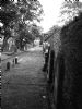 Graves