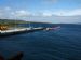 Pelamis