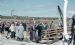 Arrival of SS Thorfinn in North Ronaldsay